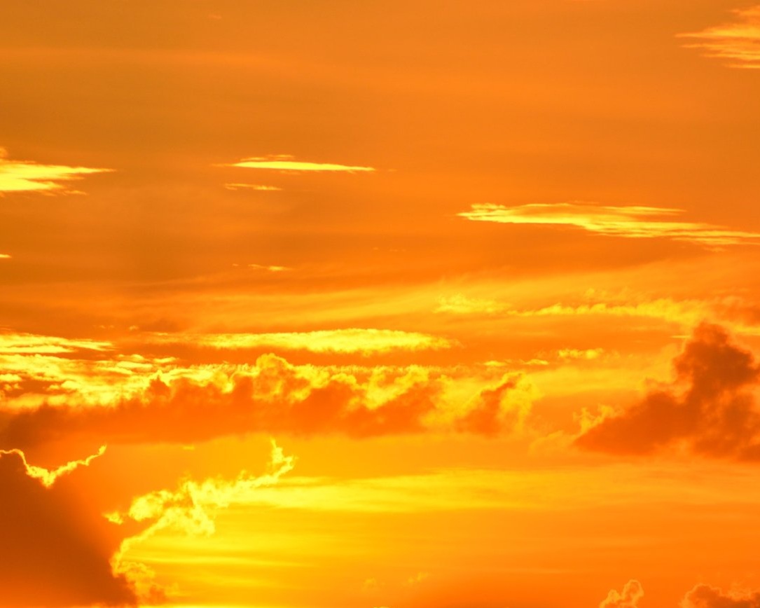 backlit-beauty-breathtaking-267151.jpg