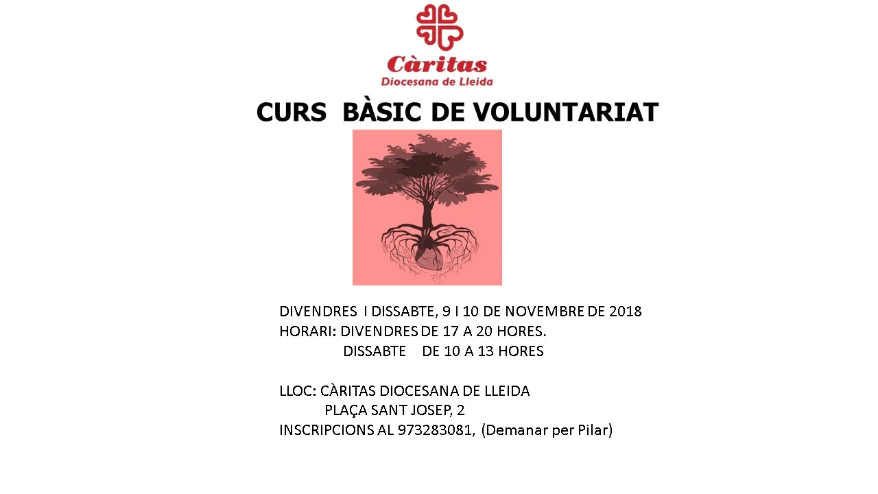 PLA DE FORMACIÓ DEL VOLUNTARIAT DE CÀRITAS