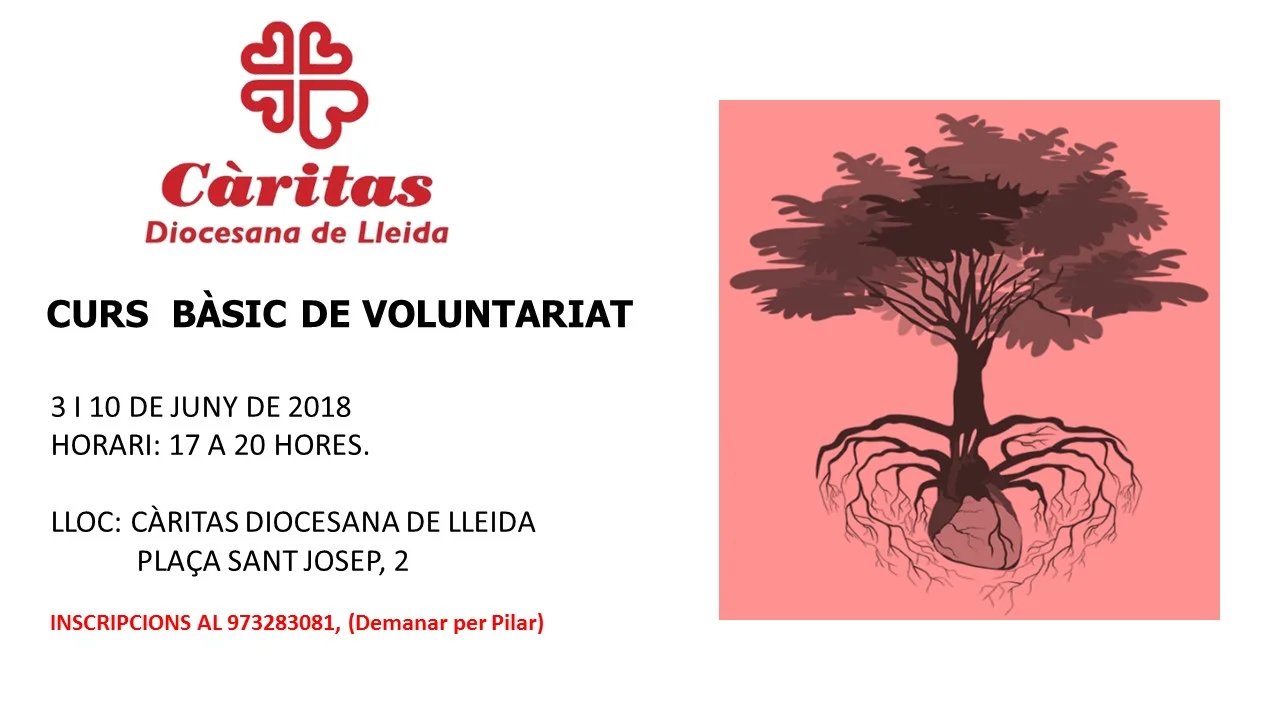 Curs Bàsic de Voluntariat en Càritas Diocesana de Lleida.
