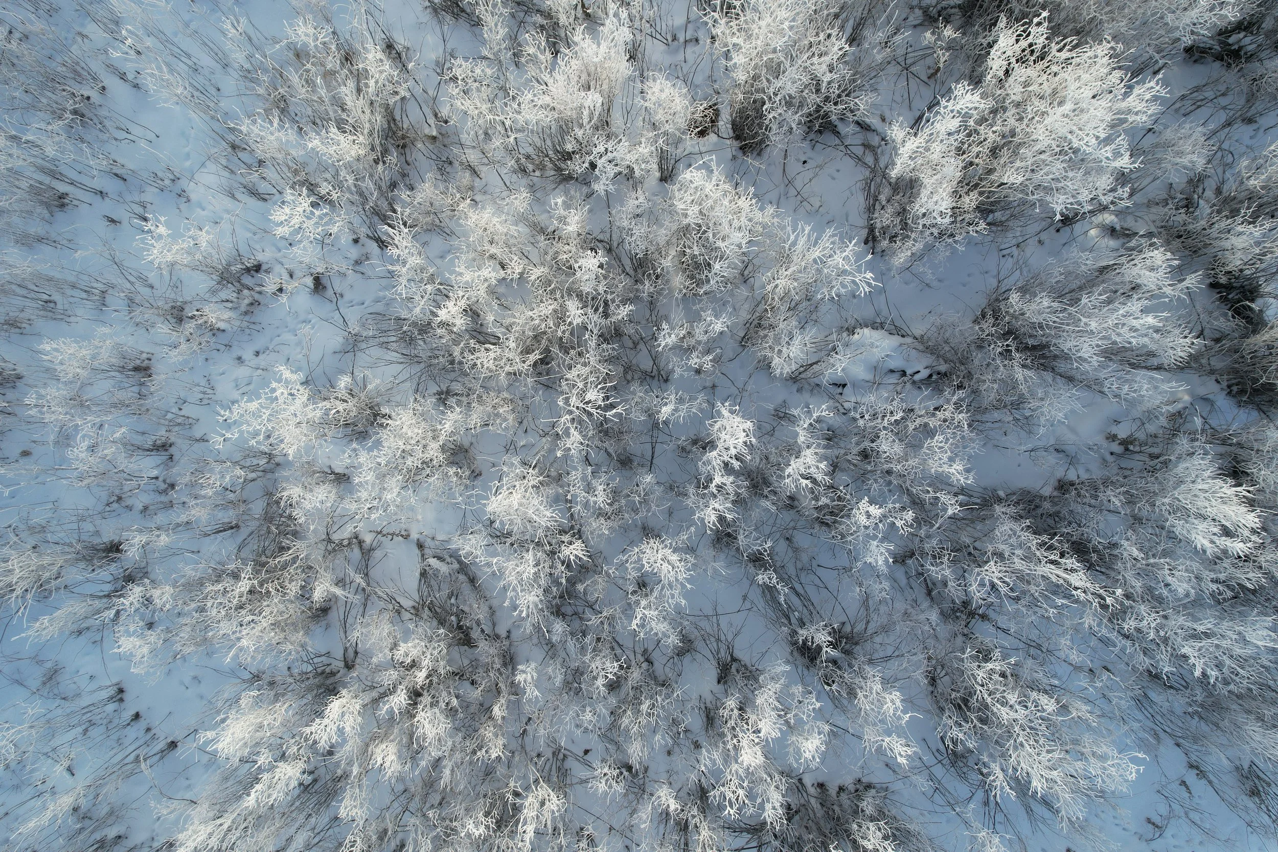 DJI_0526.JPG