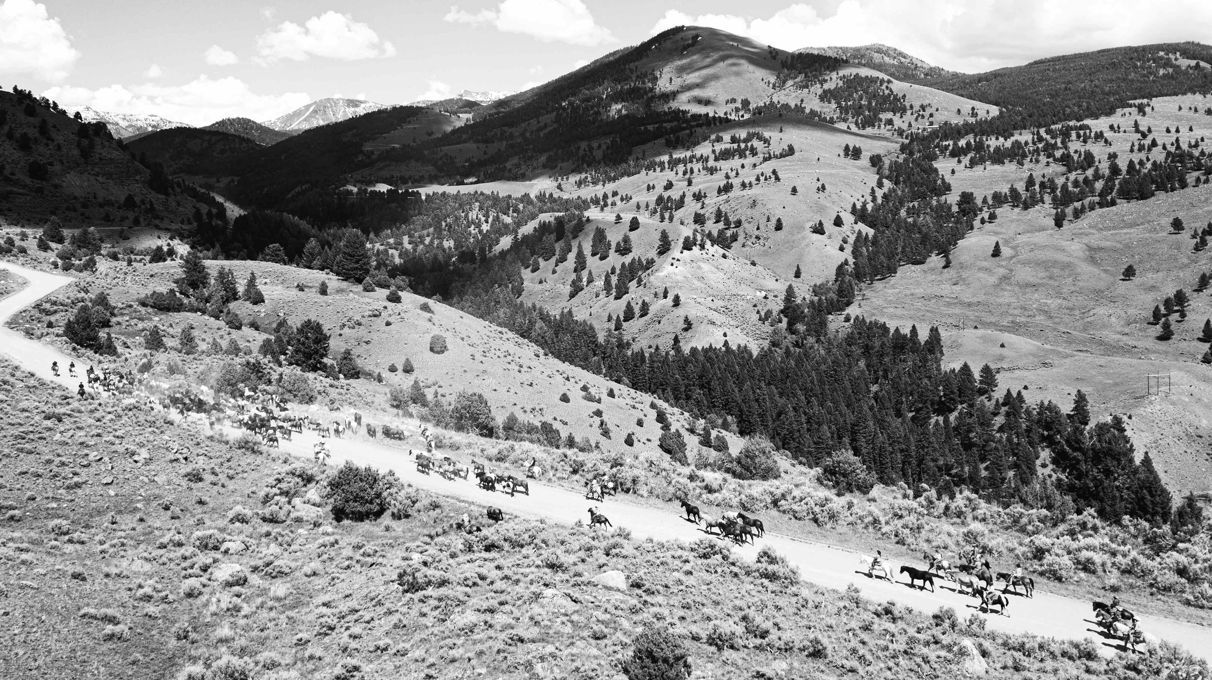 HEEL’S A-ROARIN’ HORSE DRIVE. GARDINER, MONTANA