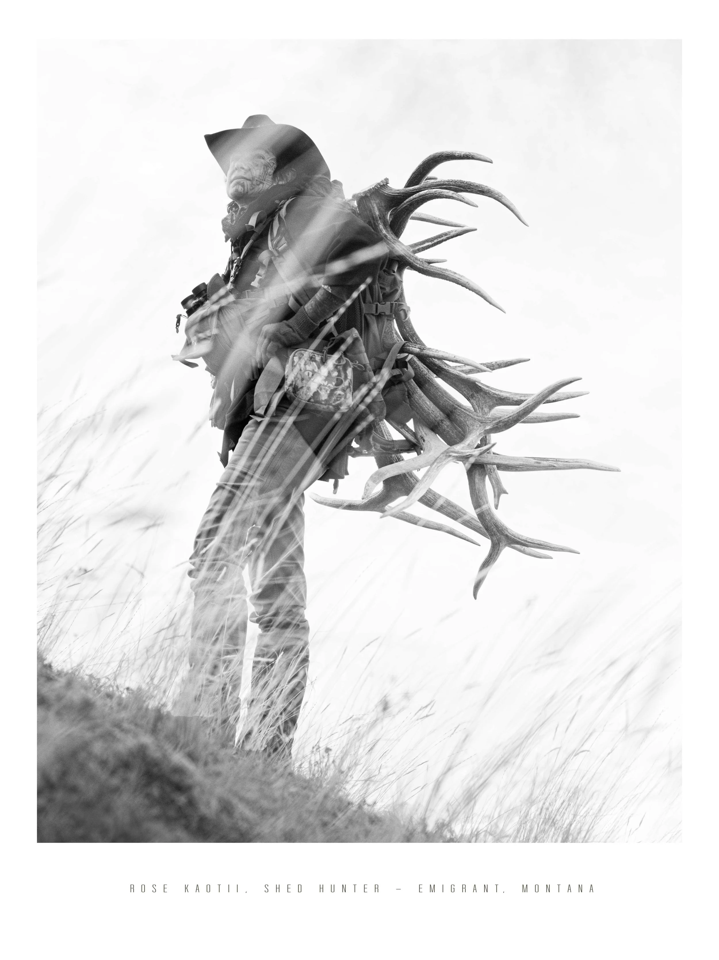 RoseSheedHunter.jpg