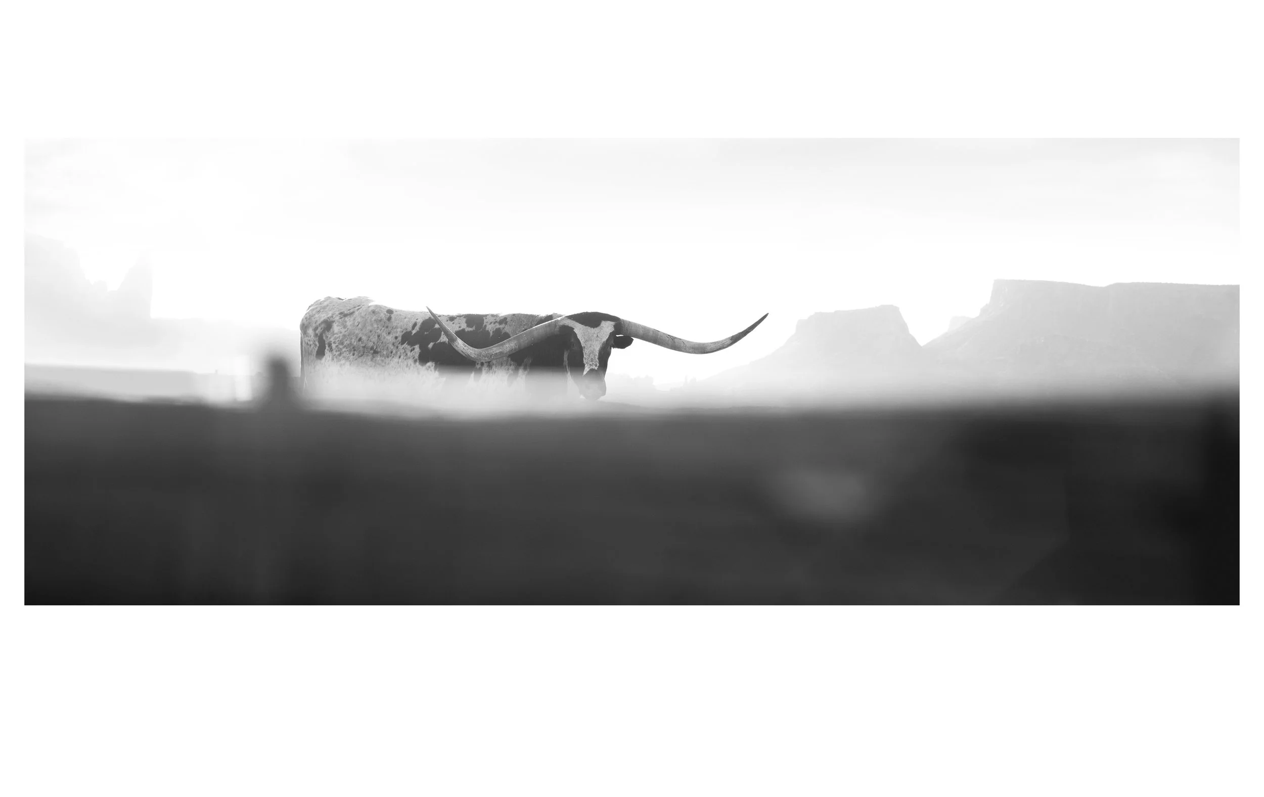 LONGHORN – MOAB, UTAH 