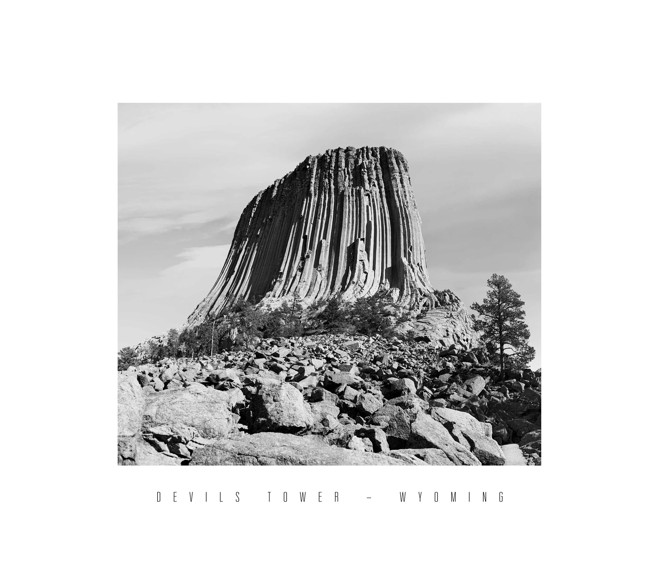 DevilsTower--arizona_BW.jpg