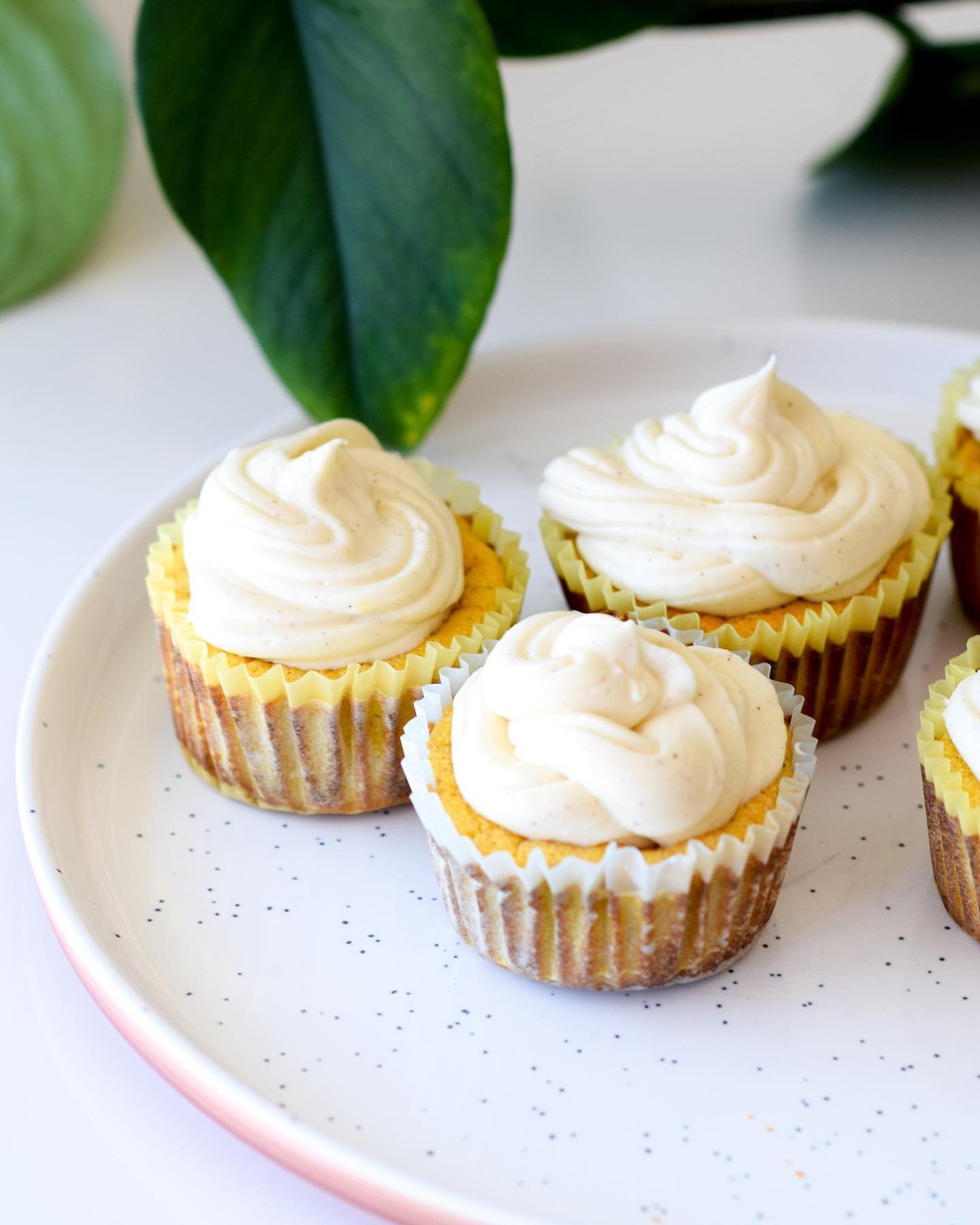 GF maple cheesecake cups🍰☺️ 

Because I am a SUCKER for cheesecake❤️ #glutenfree 

68g protein per batch🤯
0 sugar

Ingredients⬇️
▫️2 cups @oikos protein yogurt
▫️1/2 cup maple syrup
▫️1/2 tsp nutmeg
▫️1 tsp cinnamon
▫️1 cup stevia sugar
▫️ 3 eggs
▫