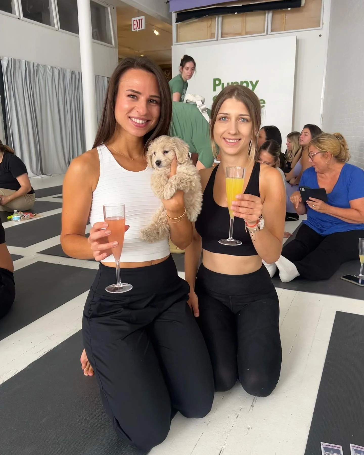 Puppy yoga with bestie💗🥂🐶🫧🧘🏻&zwj;♀️ best end to a birthday week&hellip;

#puppyyoga #healthygirl #healthylife #healthychoices #fitgirl #nyc #yoganyc #stayactive