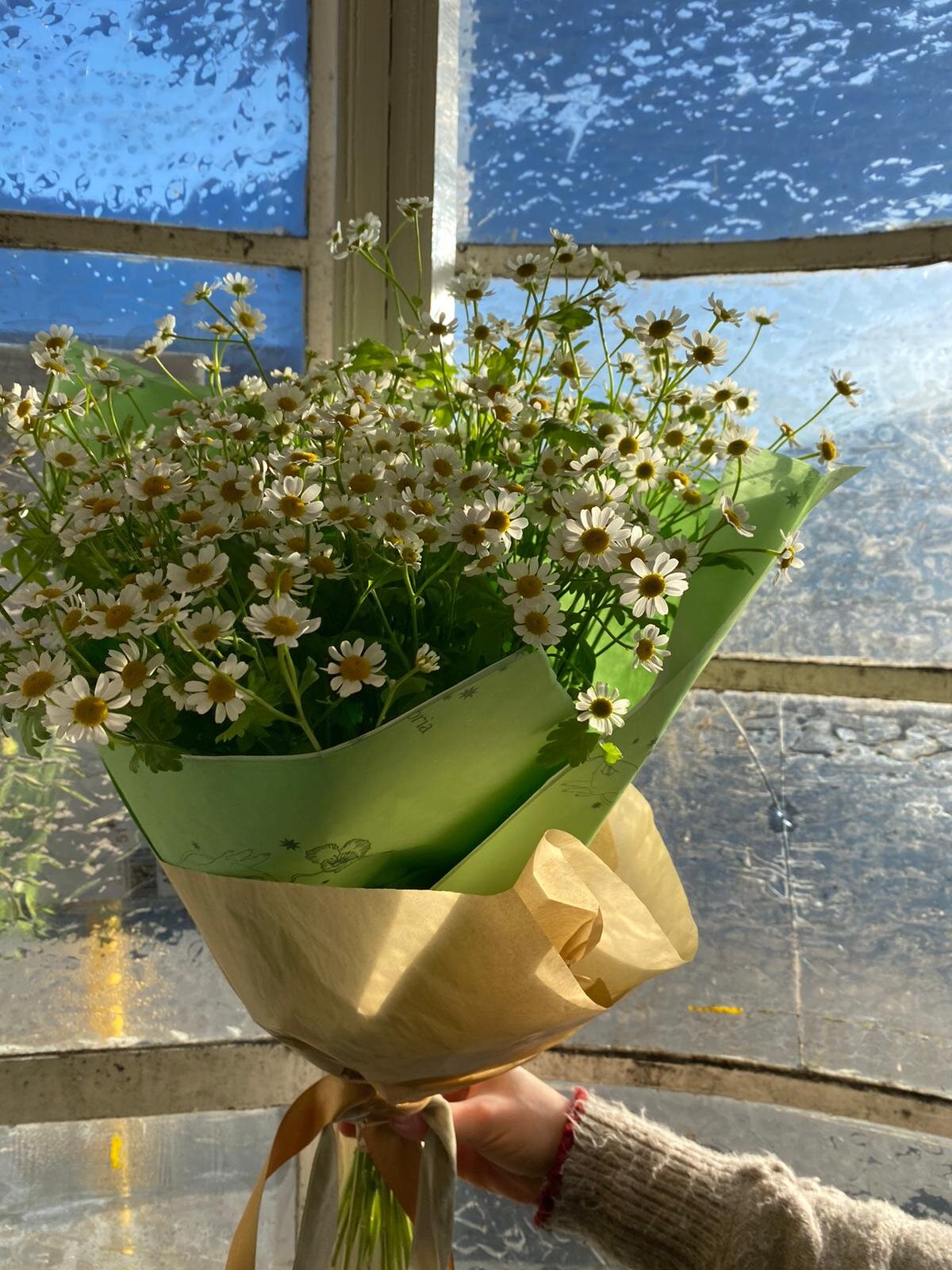 COLLECTION ONLY - Simple Bunch of Camomile