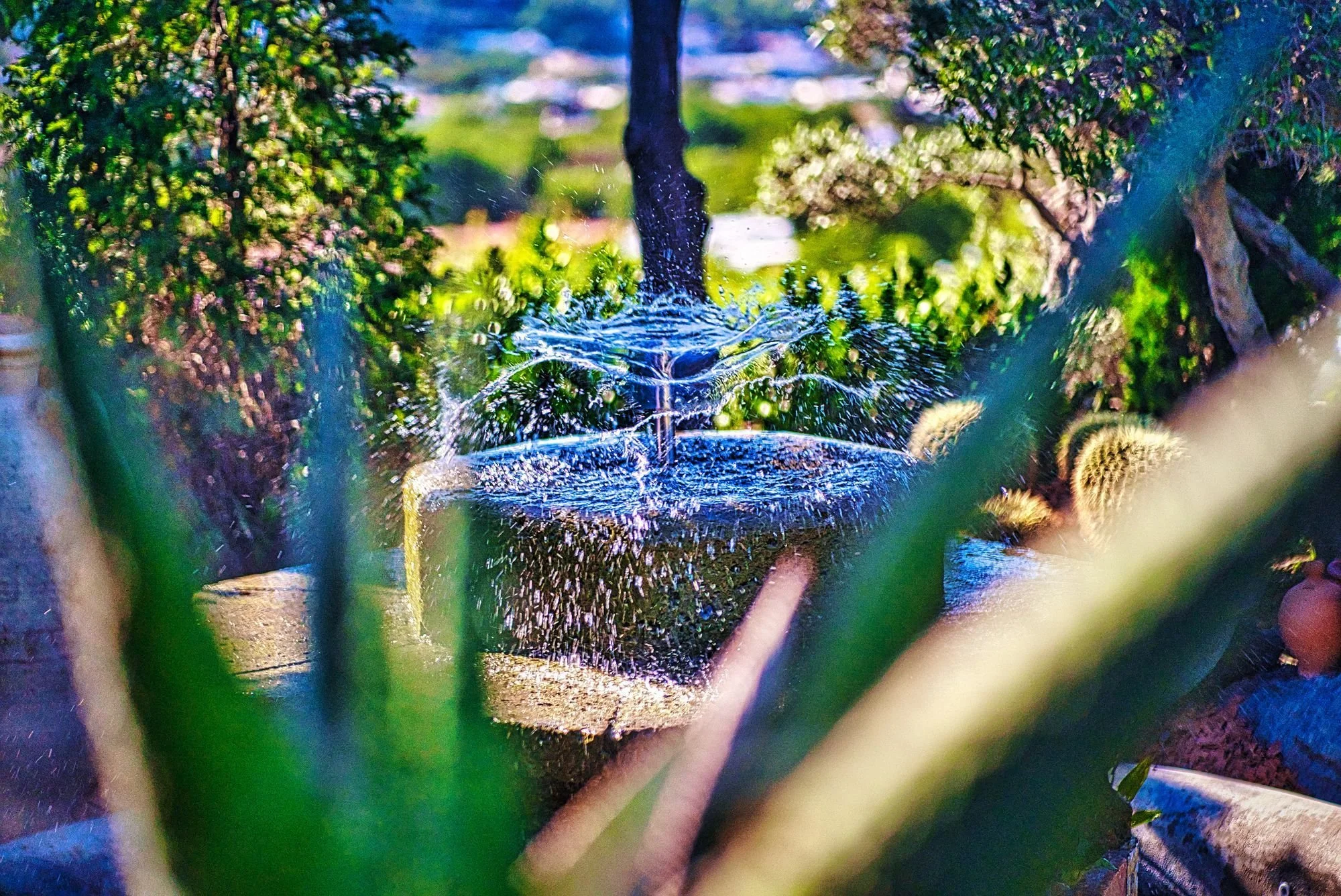 ...Save the Date: pronti per una notte di musica dal vivo in un giardino stellato ricca di soprese?