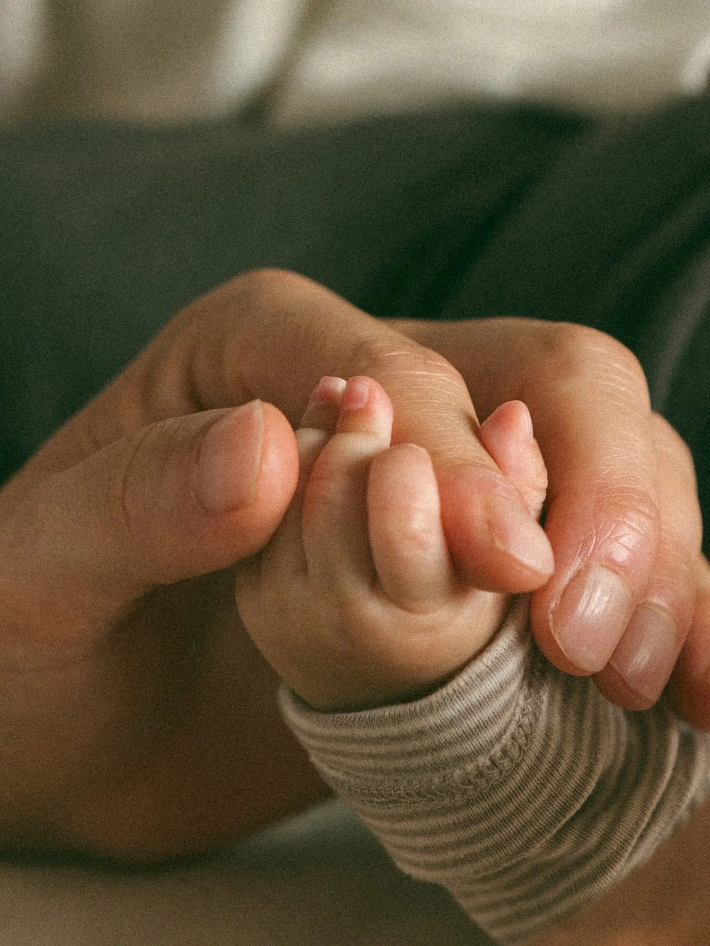 a cozy inhome session 🤍 cameron + whitman and their newest little. photoshoots inhome are always so special. a chance to slow down, be present and find new creative ways to photograph families in the spaces that mean most to them.