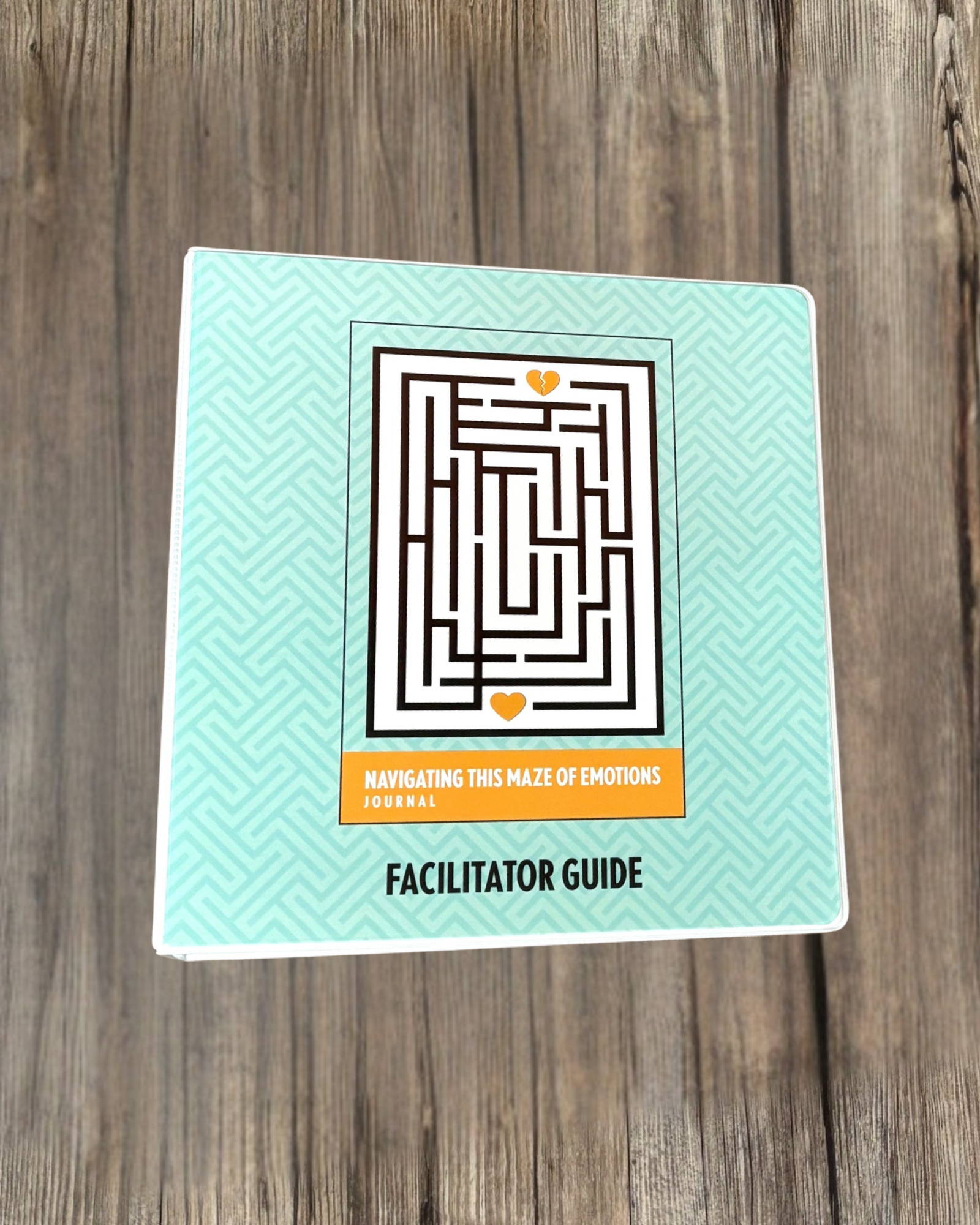 Navigating This Maze of Emotions Facilitator Guide