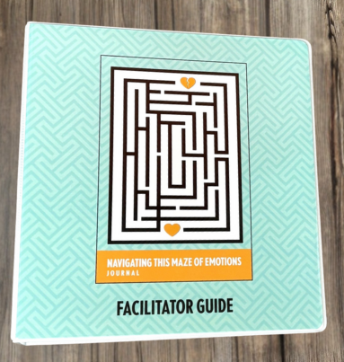 Navigating This Maze of Emotions Facilitator Guide