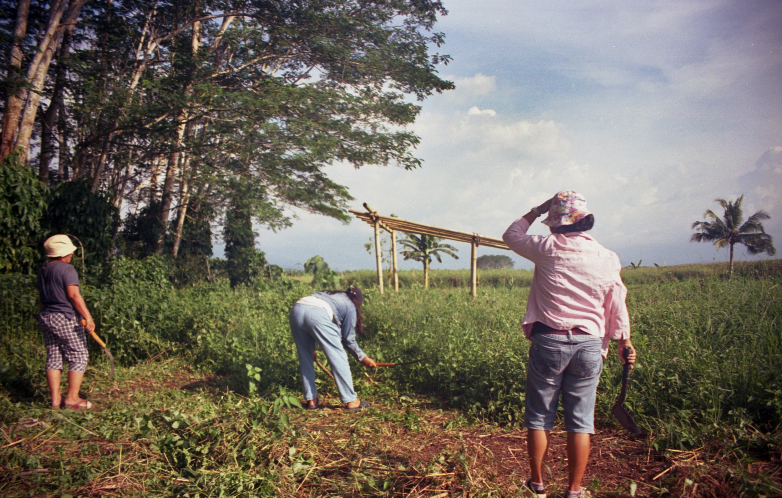 rf_2024_PH_roll2.04_edit1 copy.jpg