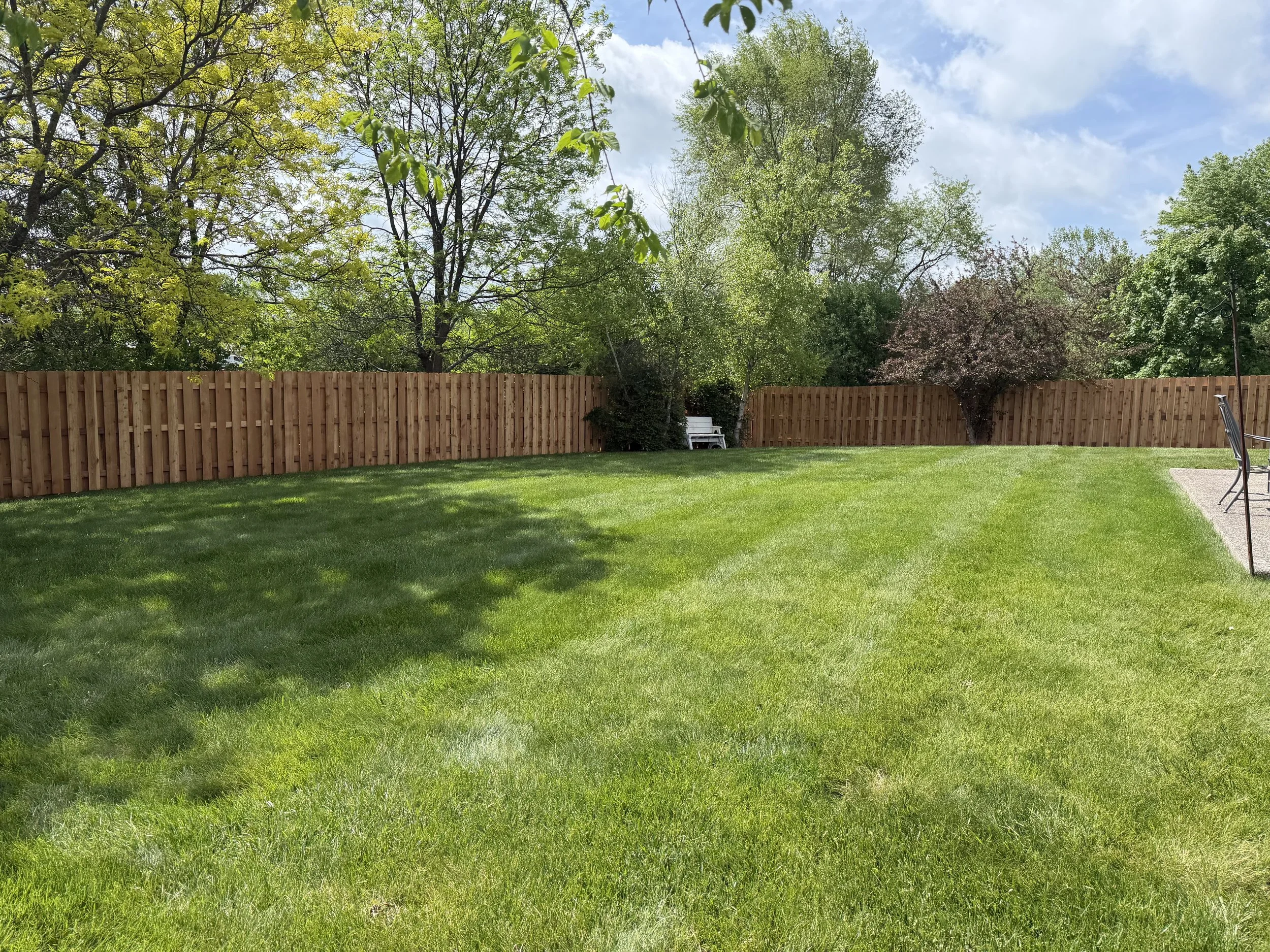The Fence that Finally Found Me