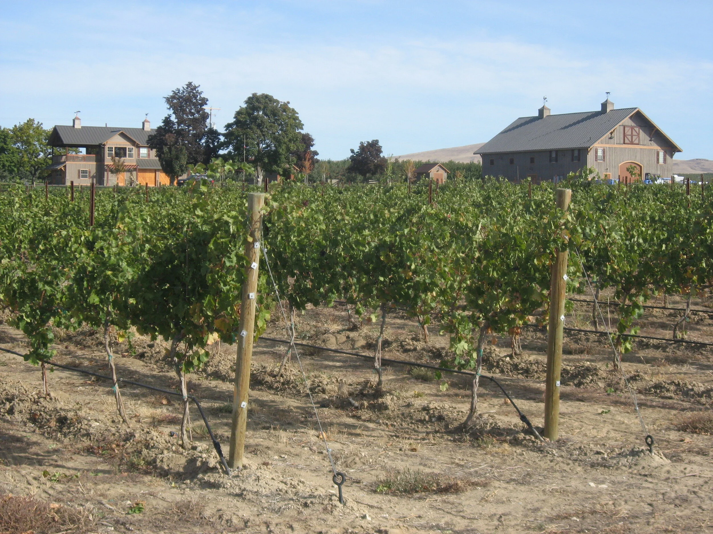 Vineyard with Tasting Room & Wine Storage Barn