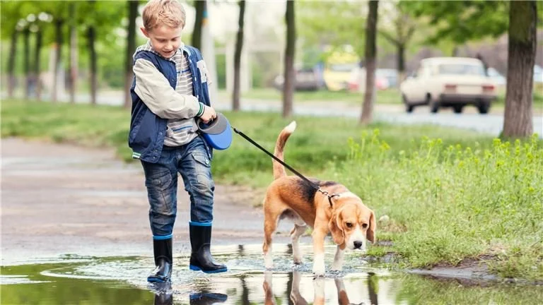 Highly Profitable Niche Pet Care Business in Charleston for Sale