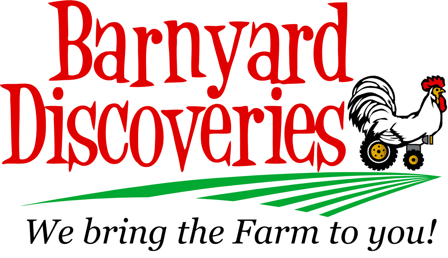Barnyard Discoveries