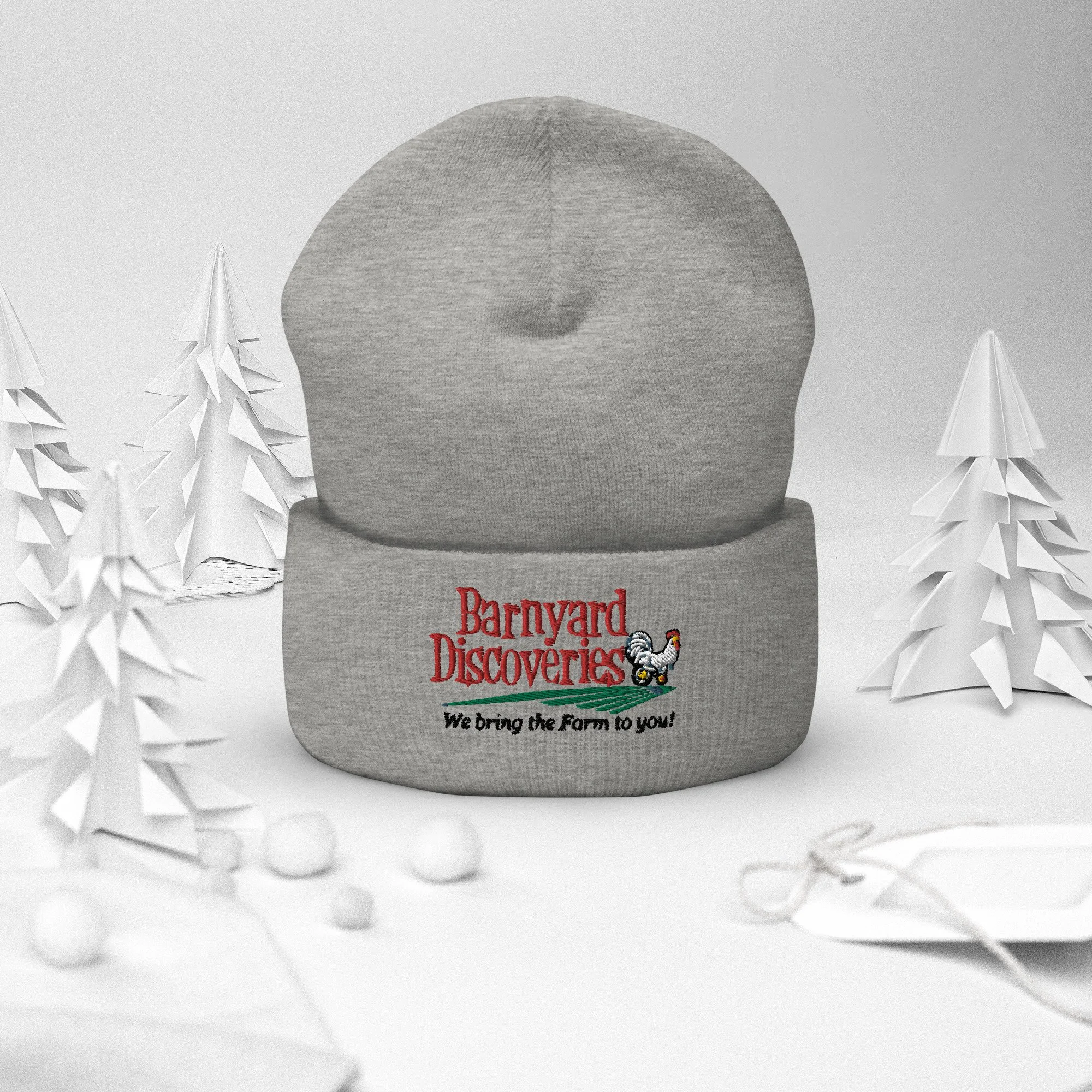 cuffed-beanie-heather-grey-front-2-6373df0494aac.jpg