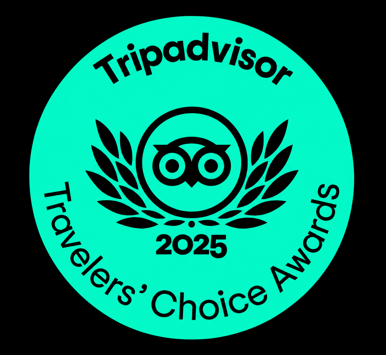 A glowing teal circular badge with black text and symbols. It features the TripAdvisor logo with an owl face, encircled by laurel branches. The text reads 'Tripadvisor' at the top, 'Travelers' Choice Awards' at the bottom, and '2025' beneath the owl face.