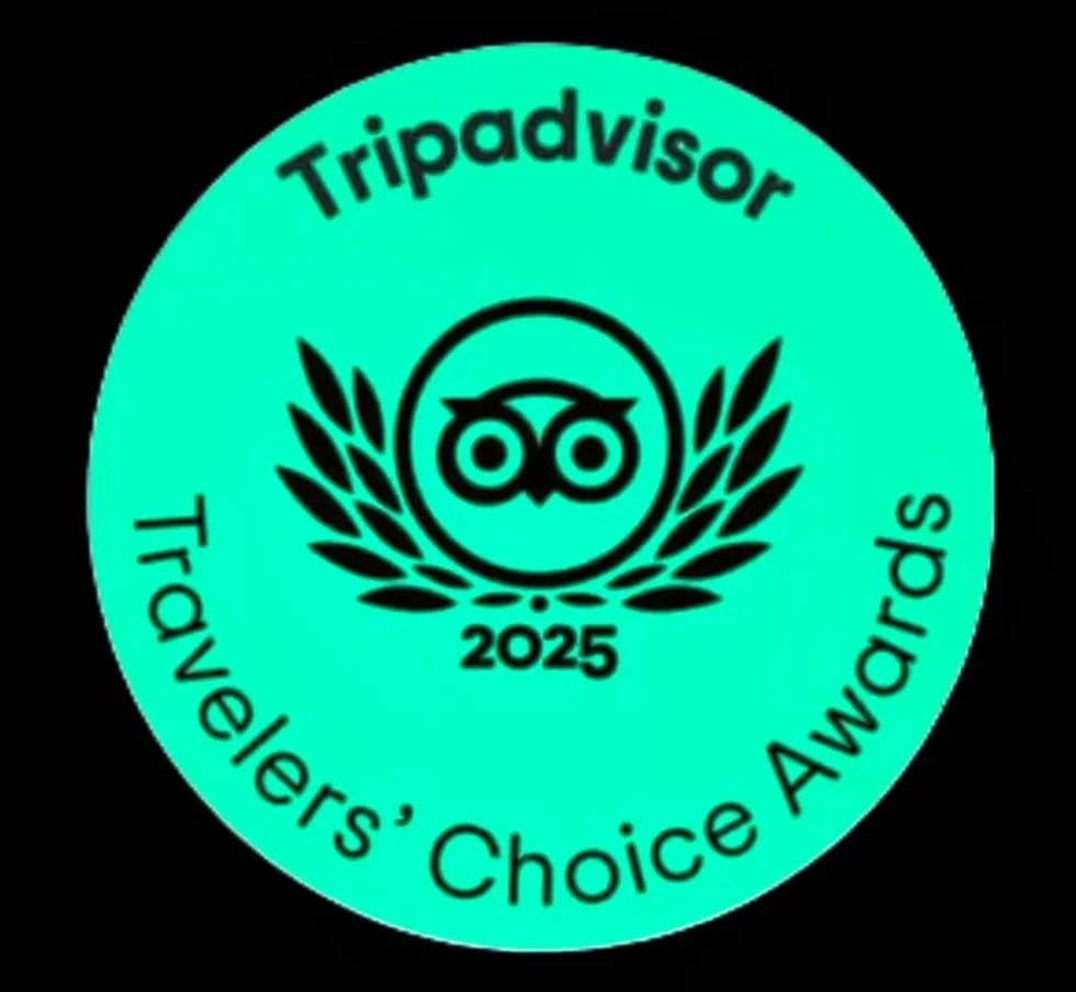 A teal circular badge with the TripAdvisor owl logo in black, surrounded by black laurel branches. The badge reads 'Travelers' Choice Awards 2025'.