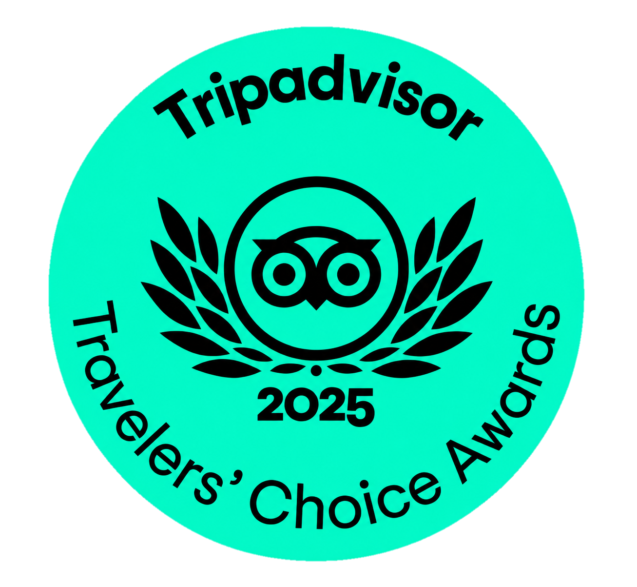 Tripadvisor Travelers’ Choice Award 2025 teal badge with black owl logo and laurel wreath