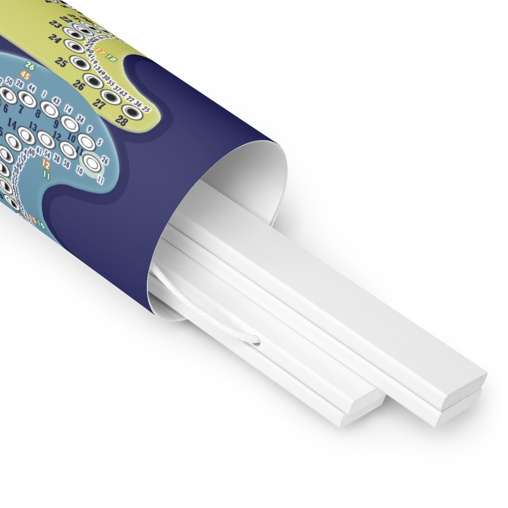 enhanced-matte-paper-poster-with-hanger-(in)-white-18x24-product-details-2-6774a19727845.png