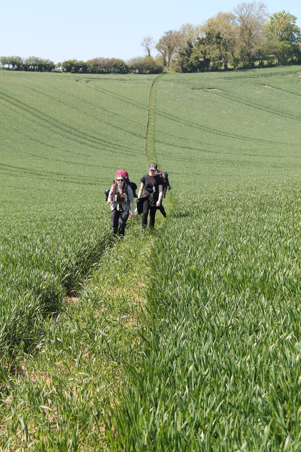 IMG_7152dofe.jpg