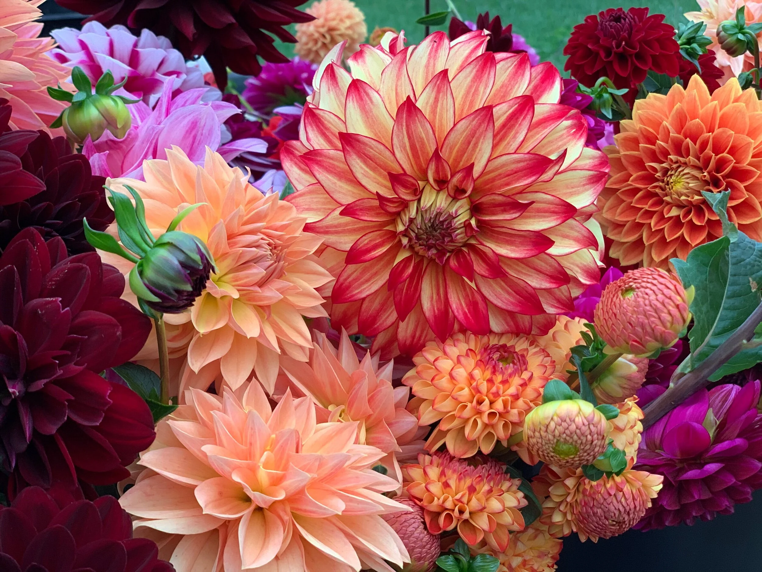 0CE84D56-6295-4C31-AC1D-735BC8238F07