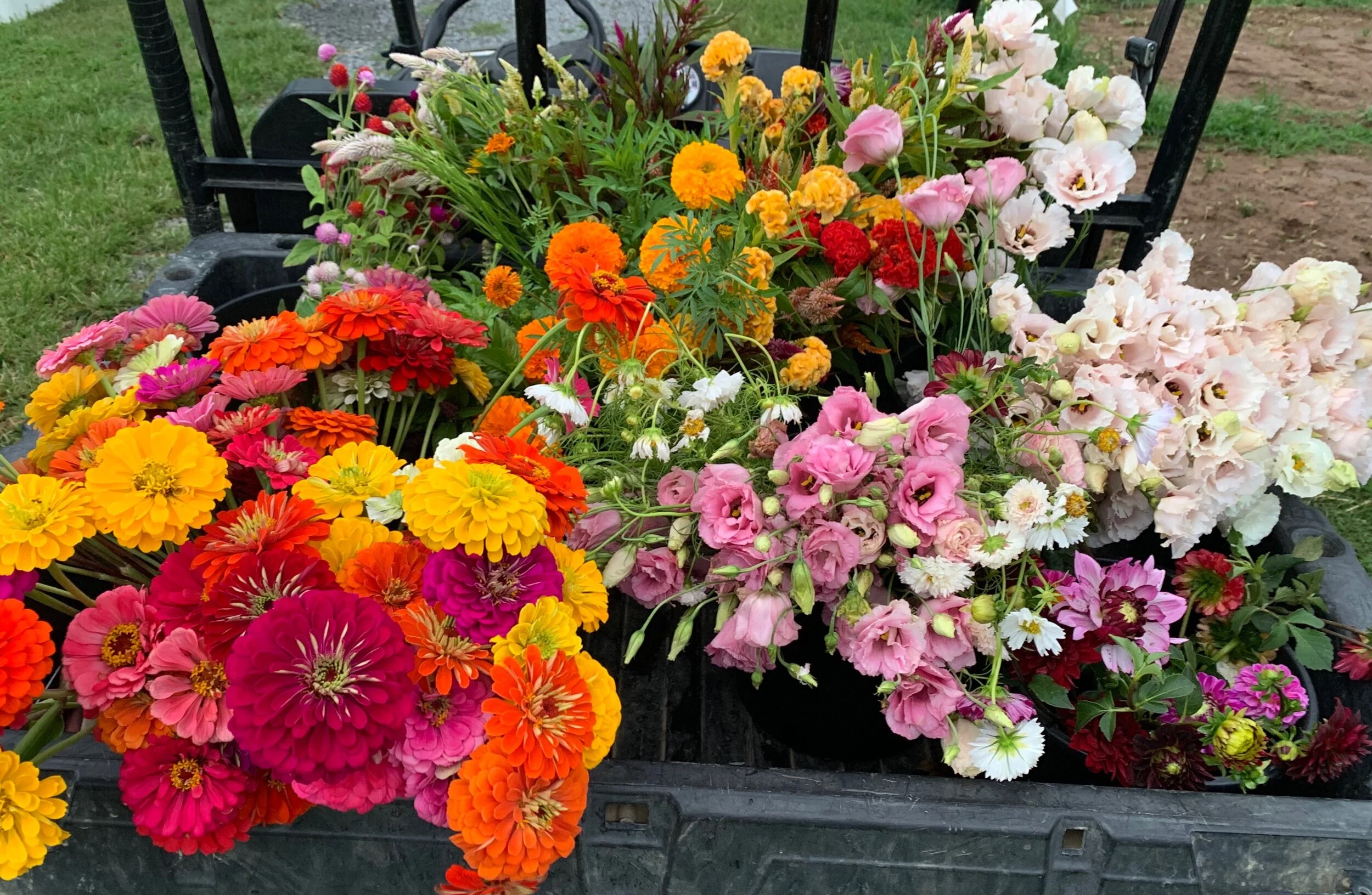 D52401BA-C04C-4B08-A157-A97F69E962ED