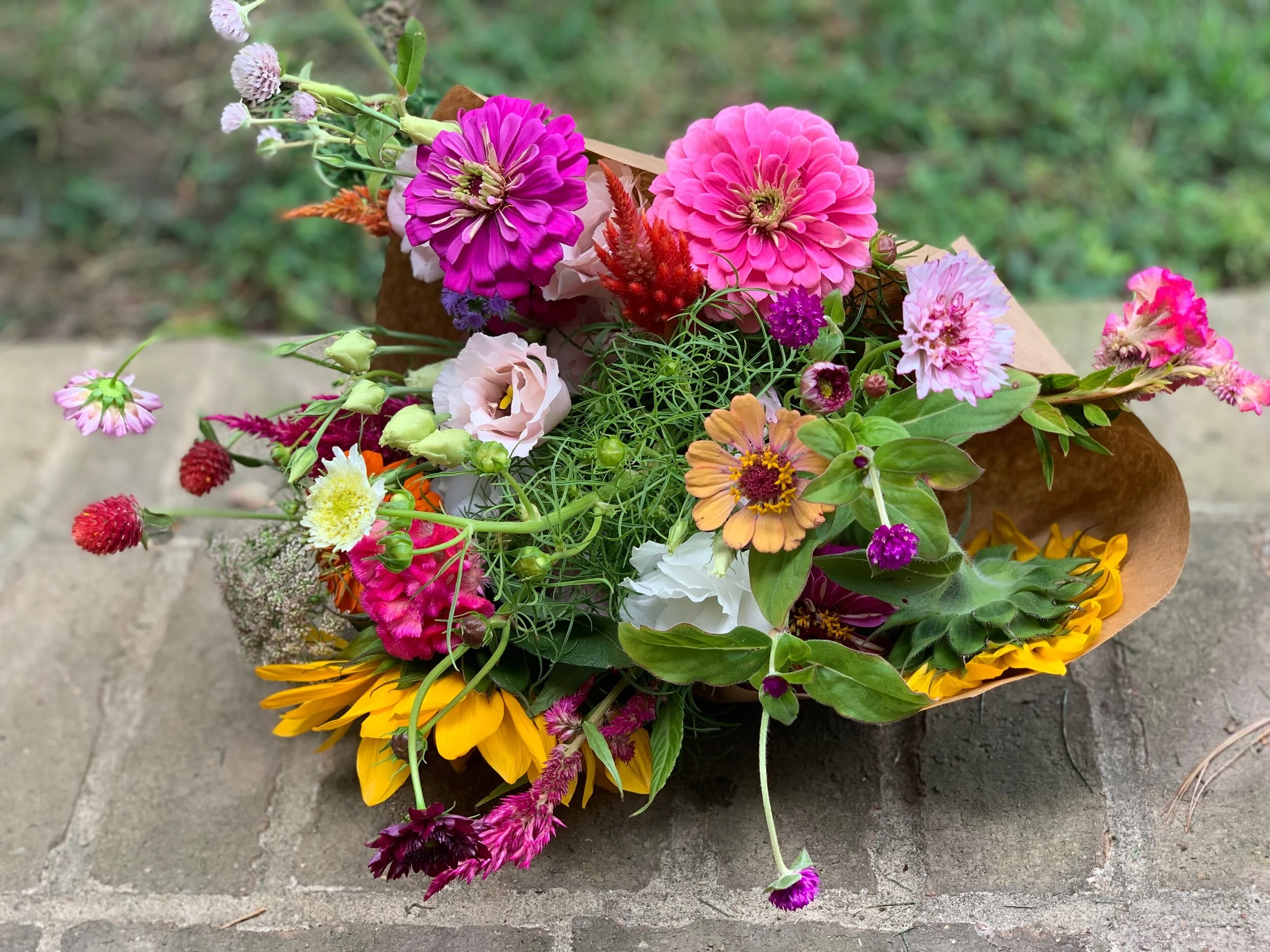 40FC75BF-107E-4496-AC02-EB1E6D13D8EF