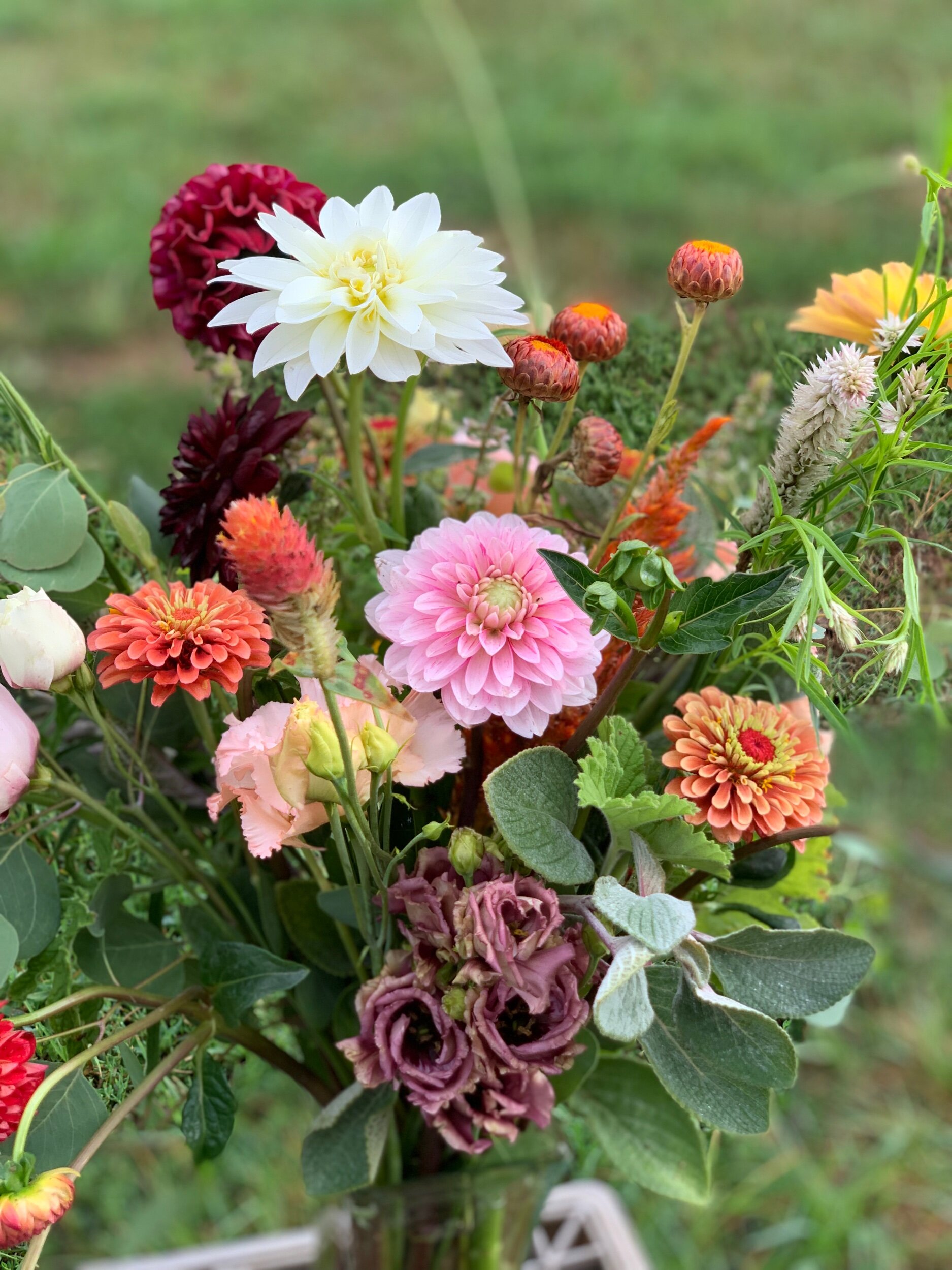 E4F80611-DF97-4798-B723-CFE963702802