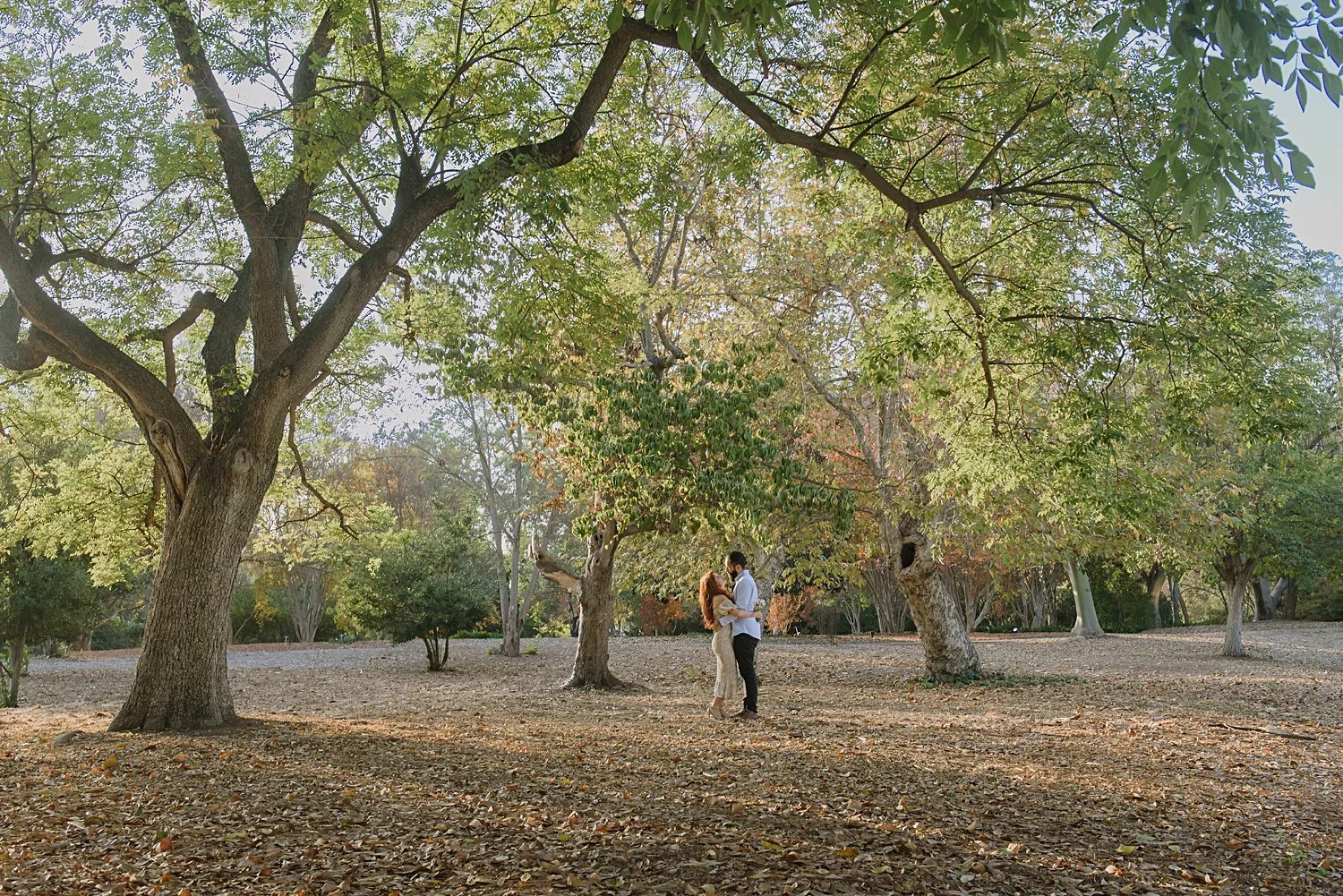 yanas-photos_Los-Angeles-County-Arboretum-engagement_angelo-jacqui_2021_0007.jpg