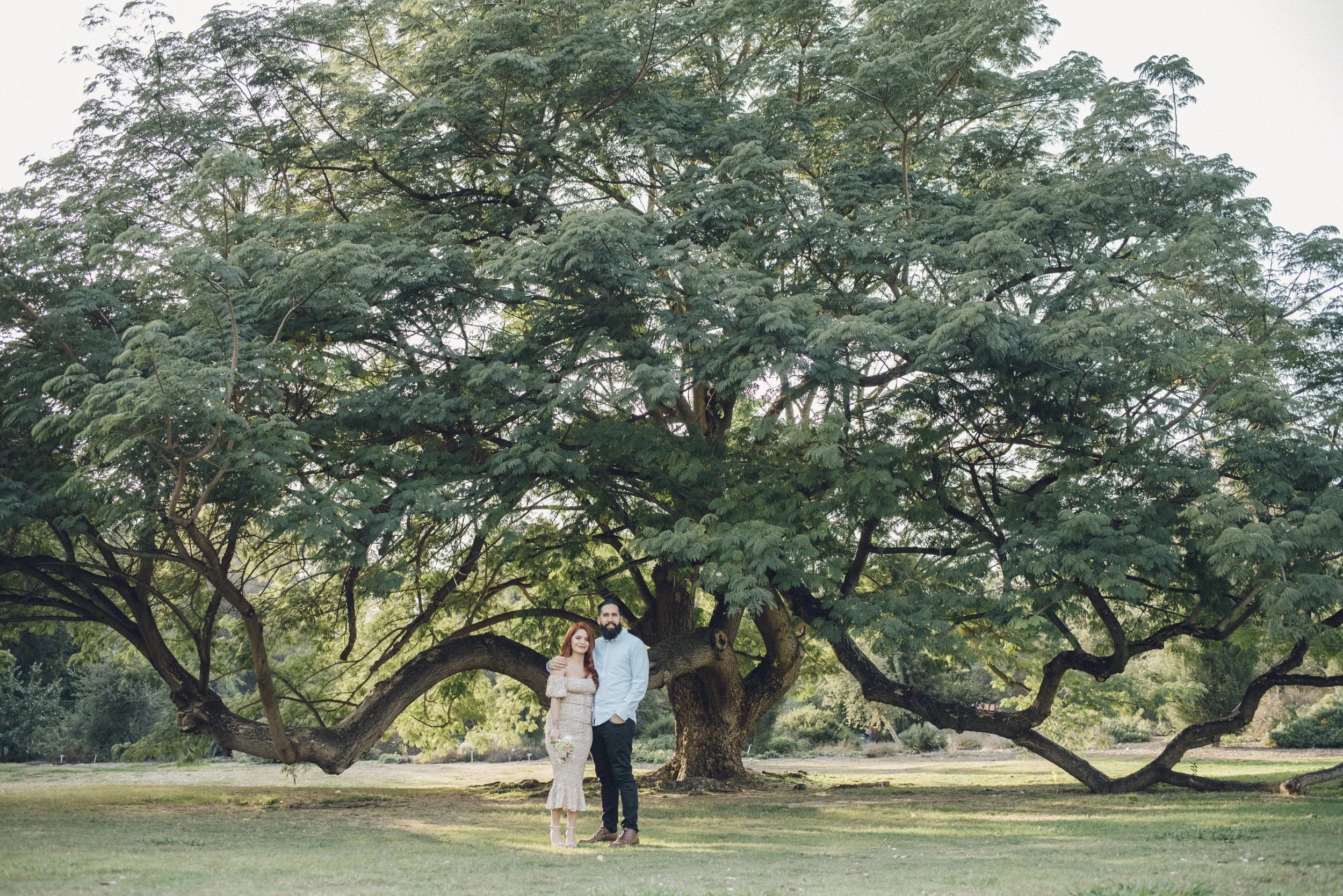 DSC_1869-December 08, 2021.jpeg