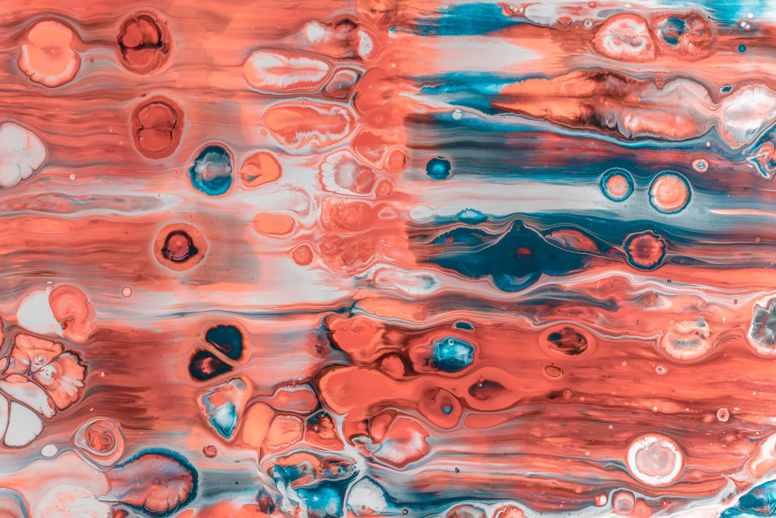 What is an Autoimmune Disease?