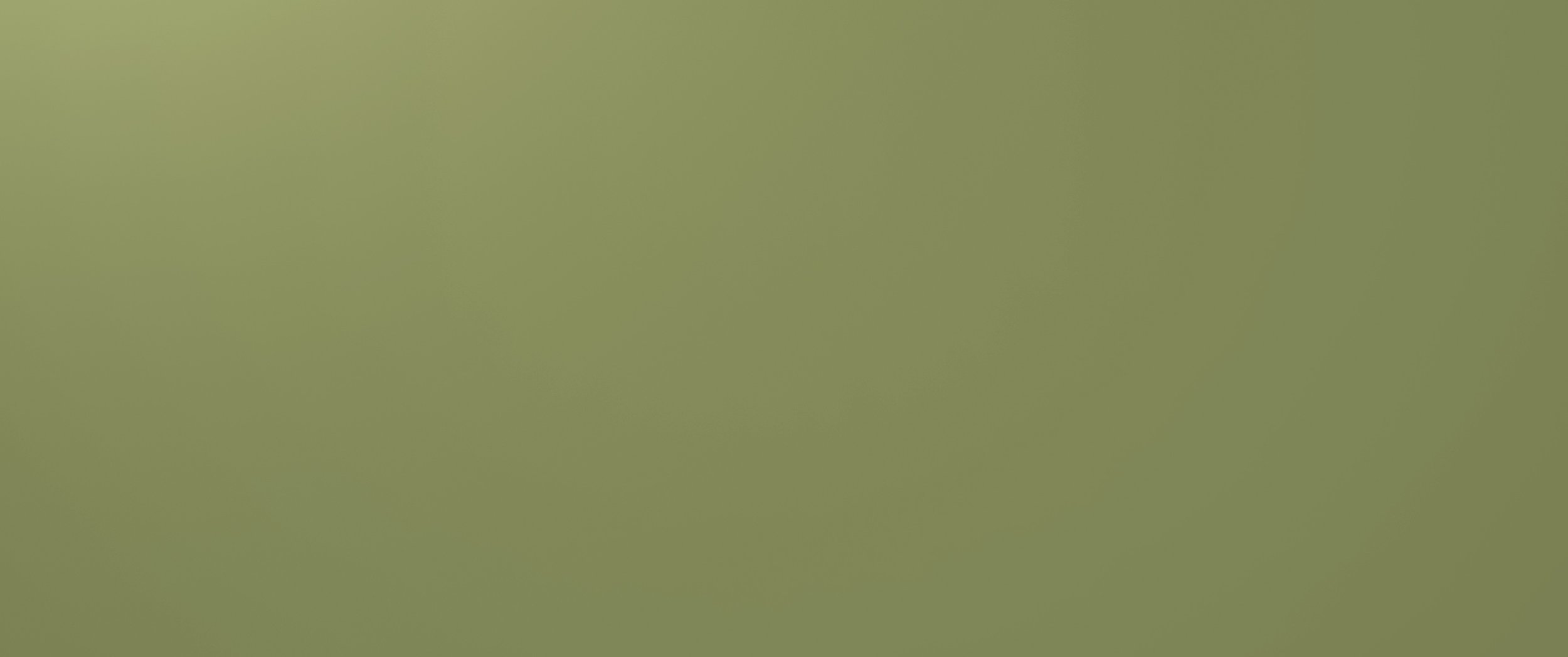 WebsitePageBG_BNB_Summer2023_14.jpg