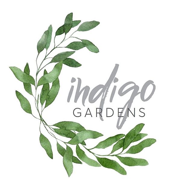 A little logo refresh by Jessica Hillen Design to go with the soon to be change of seasons and new website! I couldn't possibly part with the eucalyptus though, so it stayed.
@jessicahillen .
.
.
#indigogardens #yeggardener #graphicdesign #gardenmain