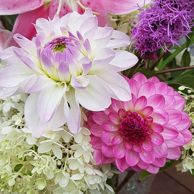 When clients love to cut stems from their garden for arrangements, I'm more than happy to oblige by adding flowers for just that. Stargazer lilies and dahlias were a couple of the seasonal additions in this client's veggie garden this year, and there