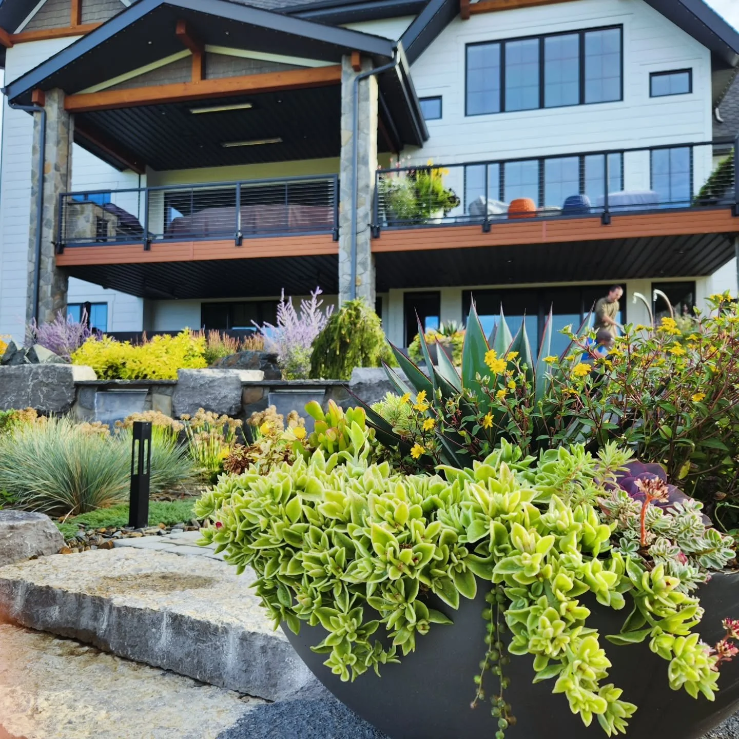 A few more of another set of agave bowls; I'll miss these guys while we're hibernating! 
Landscape Design @gardensbyaj 
Landscape Installation @thejansengroup 
Custom Pots @pot_inc
Planter Installation @indigogardens 
Plants in ground and planters @s