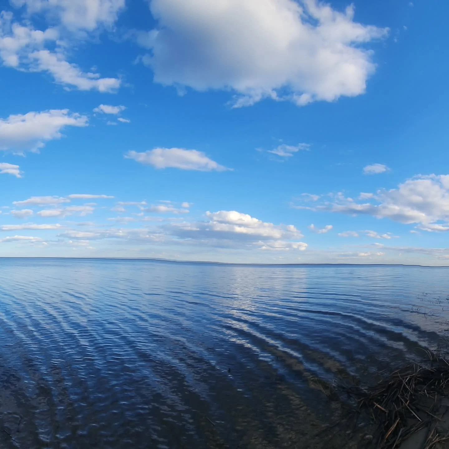 April snow storms meant many delays as we tried to get spring cleanups done, but we are working through our out of town, lakehouse and acreage properties now. There is still plenty of ice in the middle of Lesser Slave Lake, and even the aspens are st