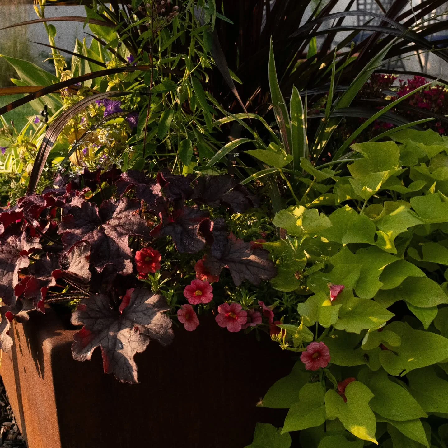 Summer is right around the corner, and we have thousands of beautiful plants waiting to hit the gardens. We're watching temperatures closely, and hoping to roll out summer planters soon. With that in mind, we are looking for one more experienced gard