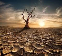 Investors holding $41 trillion demand action on climate — now