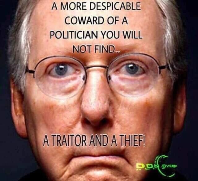 Party - over the US Constitution