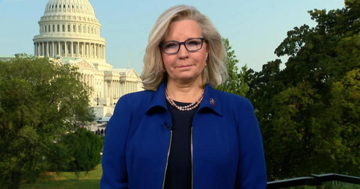 Liz Cheney drops bombshell during hearing -- and suggests Trump 'was personally involved in the planning of January 6th'