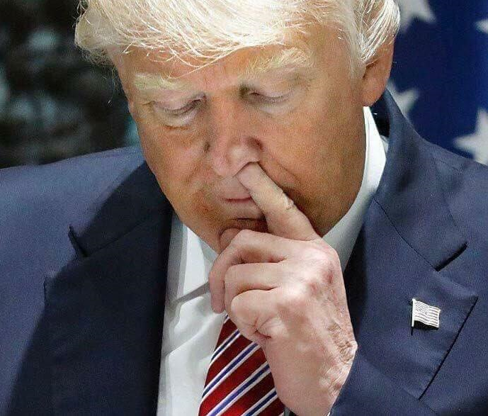 “Sorry losers and haters, but my I.Q. is one of the highest–and you all know it!"
