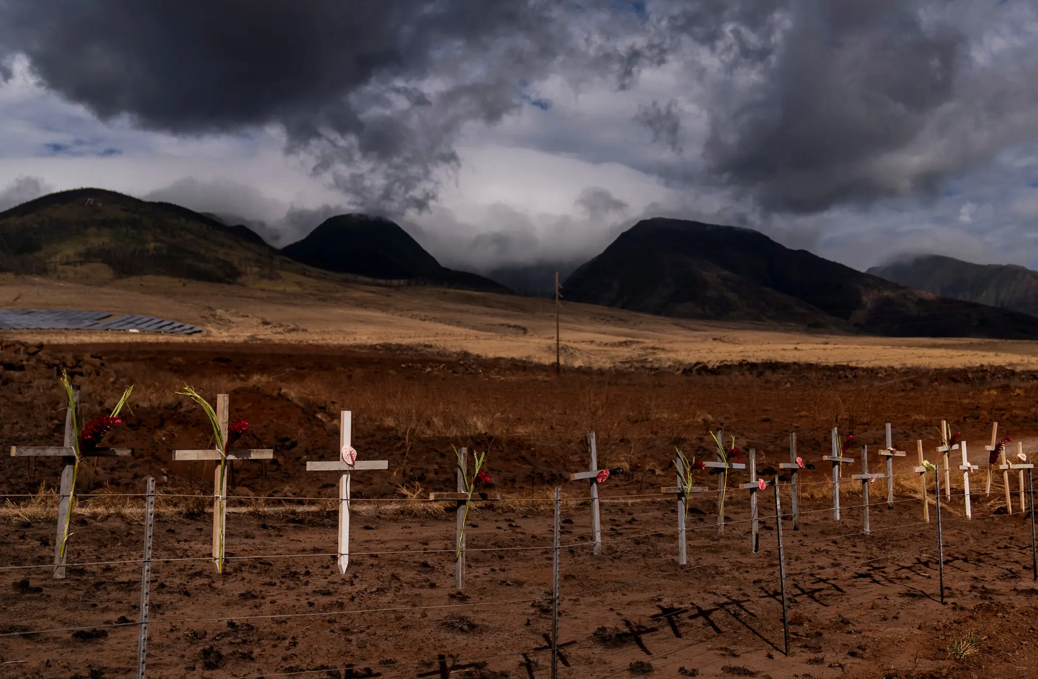 A Legacy of Colonialism Set the Stage for the Maui Wildfires