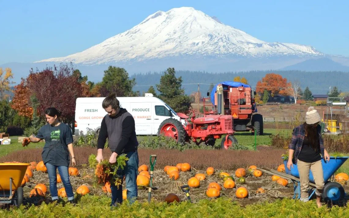 These Pacific Northwest Groups Feed the Region When It Needs It Most
