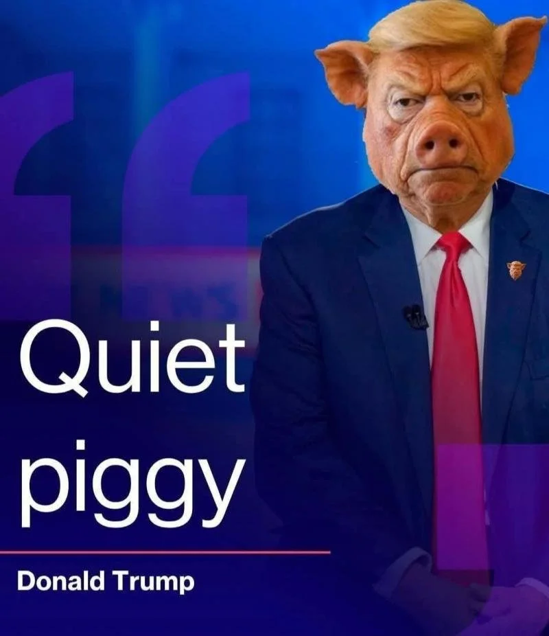 'Quiet!' 'You don't know anything!' Trump melts down at 'horrible little reporter' 