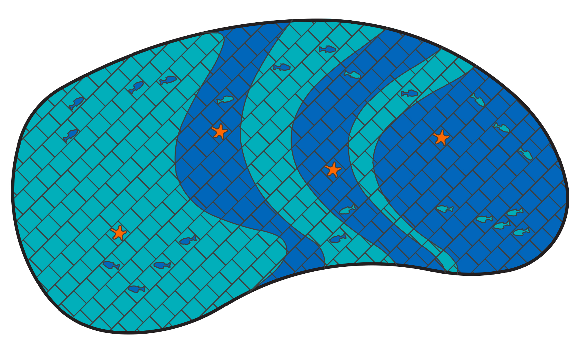Surfers' Cove.jpg
