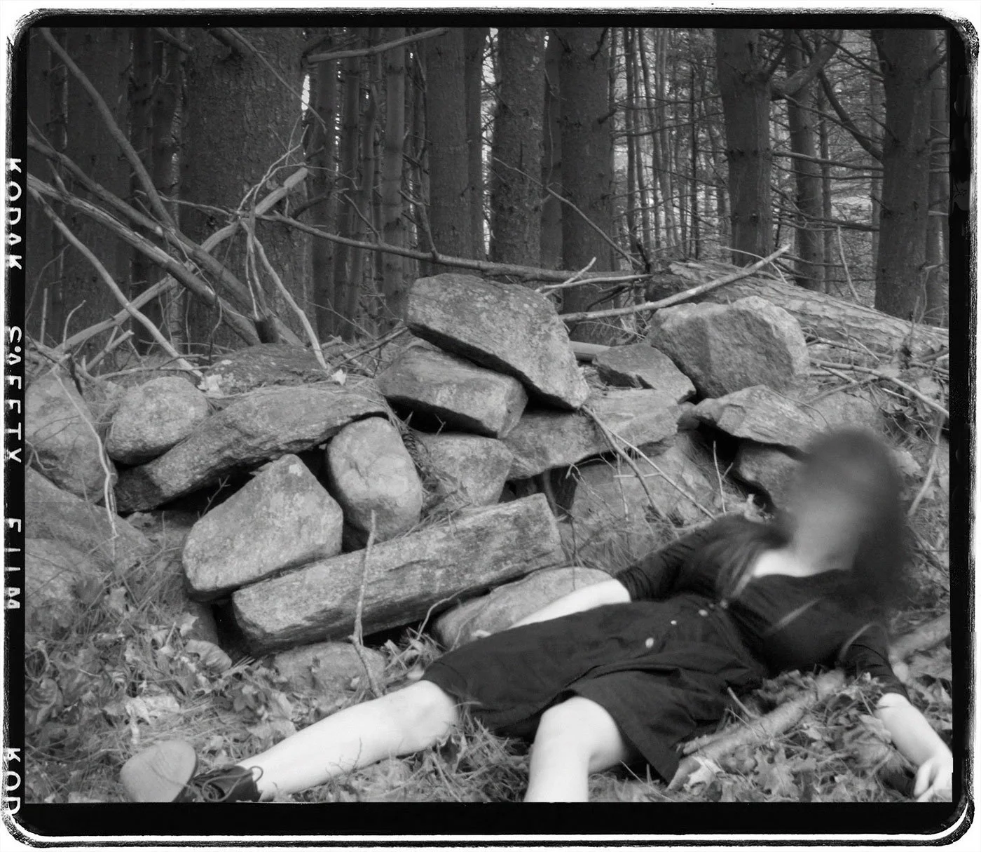 Decomposing_4.jpg
