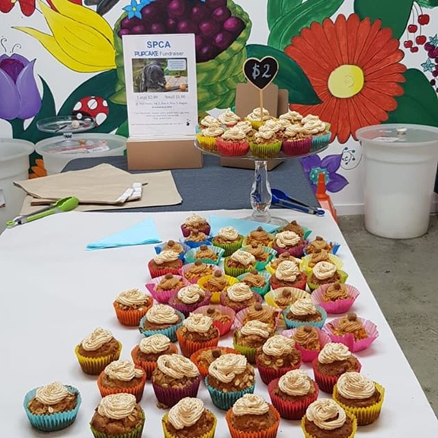 We are fundraising for SPCA's Cupcake Day. Come for a visit with your puppy and treat them and yourself to either a pupcake or cupcake on Sunday 4th August from 09:00-04:00 and Monday 5th Aug from 08:30-17:30 to show your support. 
We are selling yum