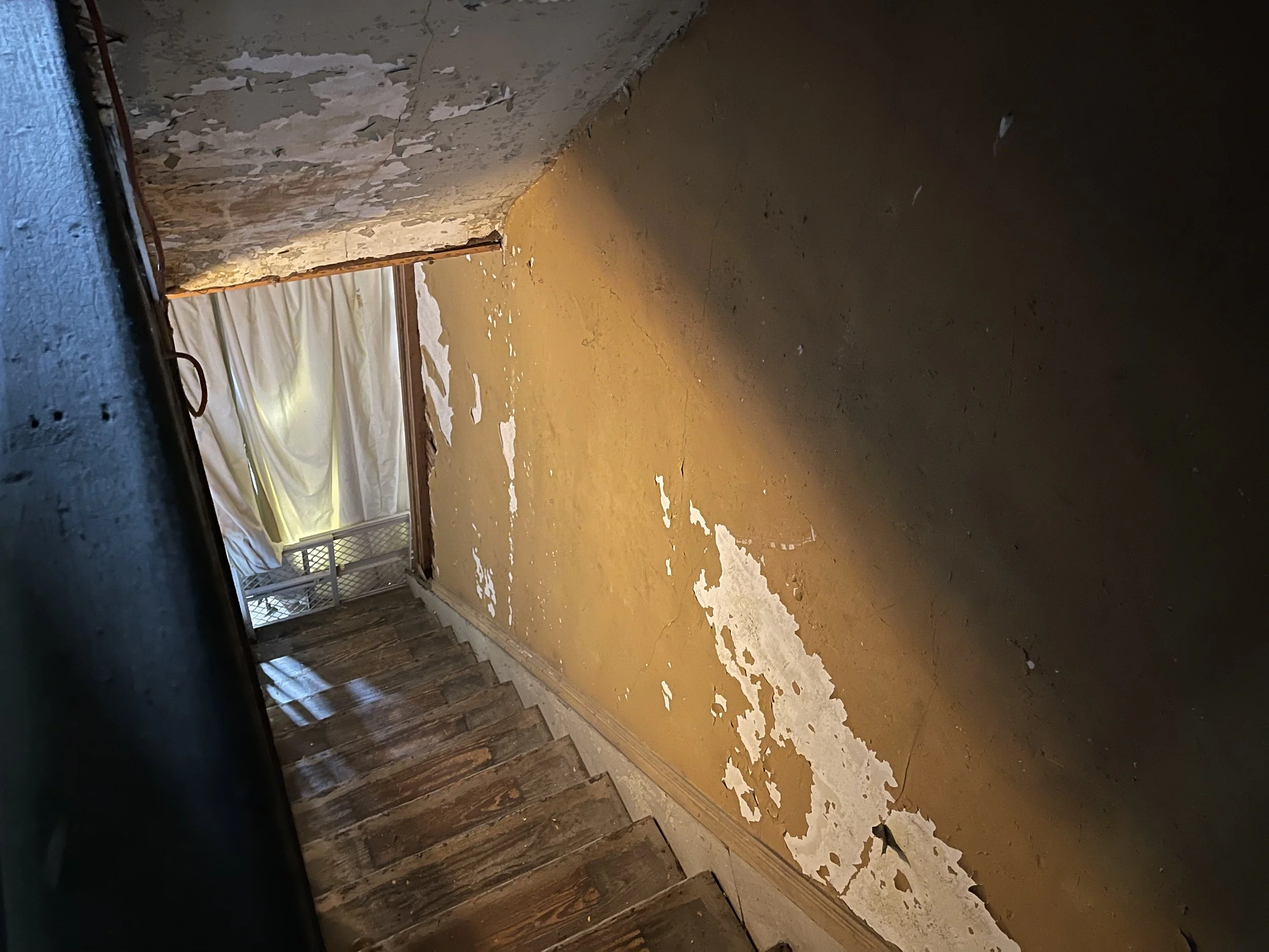 Photo Sep 24, 3 23 36 PM.jpg